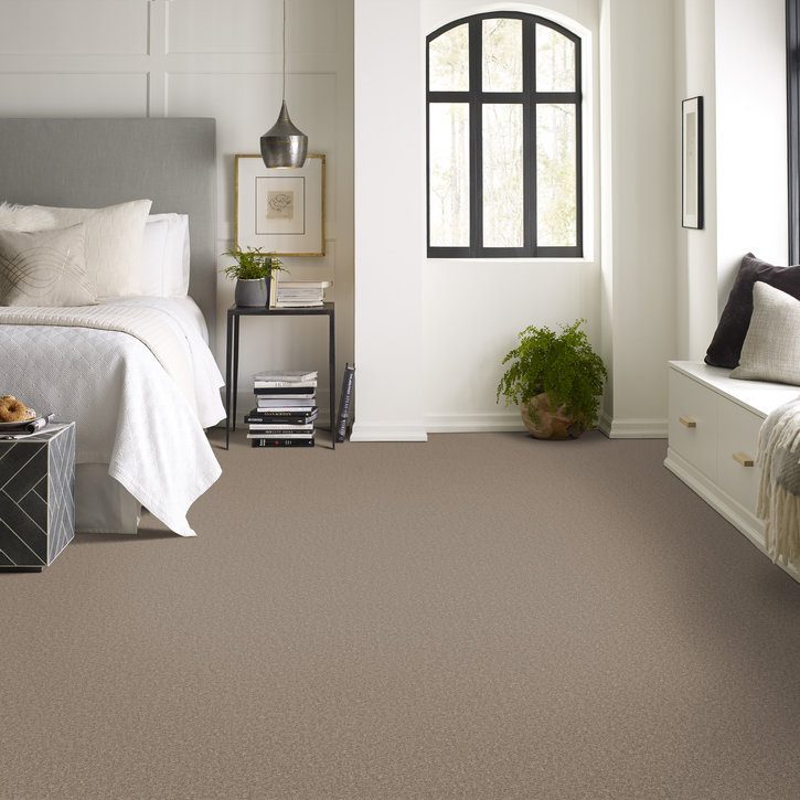 Shaw Lantern Bay Dry Creek carpet installed in a room